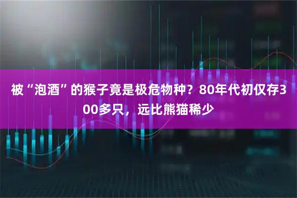 被“泡酒”的猴子竟是极危物种？80年代初仅存300多只，远比熊猫稀少
