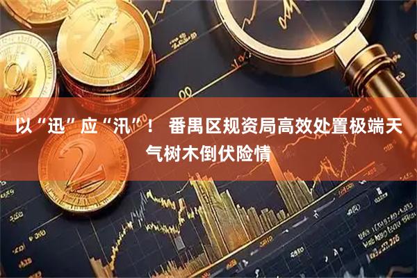 以“迅”应“汛”！ 番禺区规资局高效处置极端天气树木倒伏险情