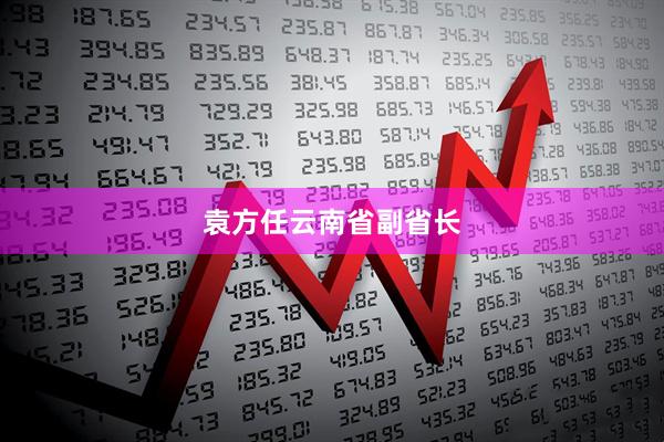 袁方任云南省副省长