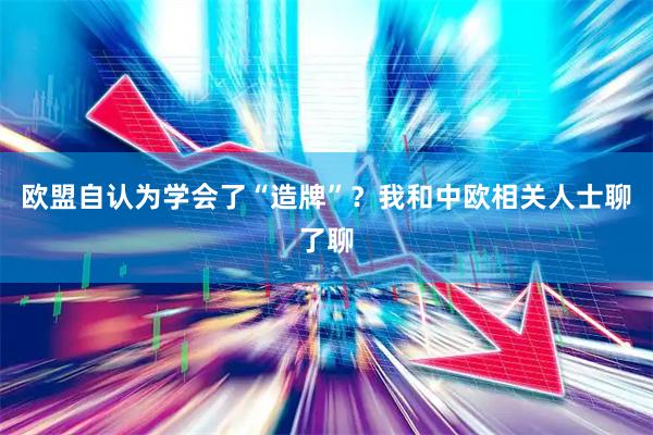 欧盟自认为学会了“造牌”？我和中欧相关人士聊了聊
