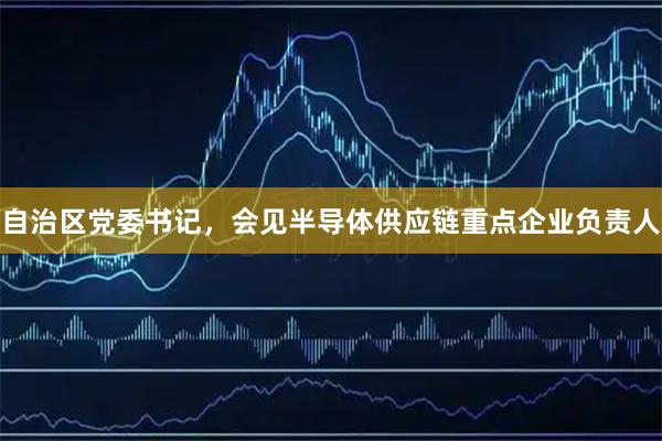 自治区党委书记，会见半导体供应链重点企业负责人